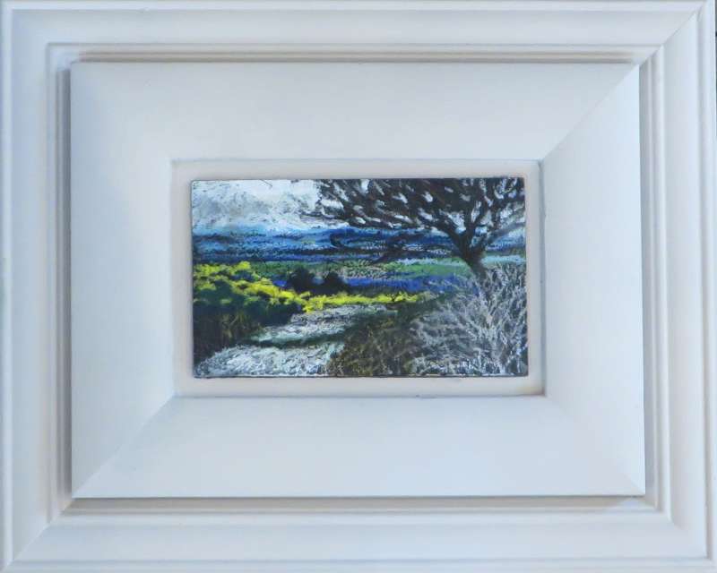Gorse Path